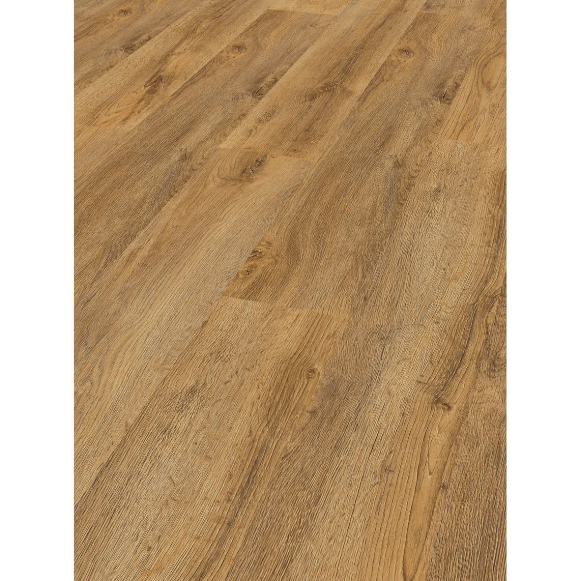 Specht Laminatboden Classic Somborner Eiche 138 x 19,3 cm