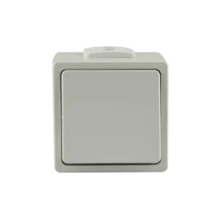 Taster AP grau lose Aquarius FR