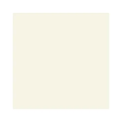 Vincent 2in1 Buntlack Spray Cremeweiß glänzend 0,4 L