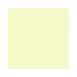 Vincent Wand- und Deckenfarbe Spring 5 L