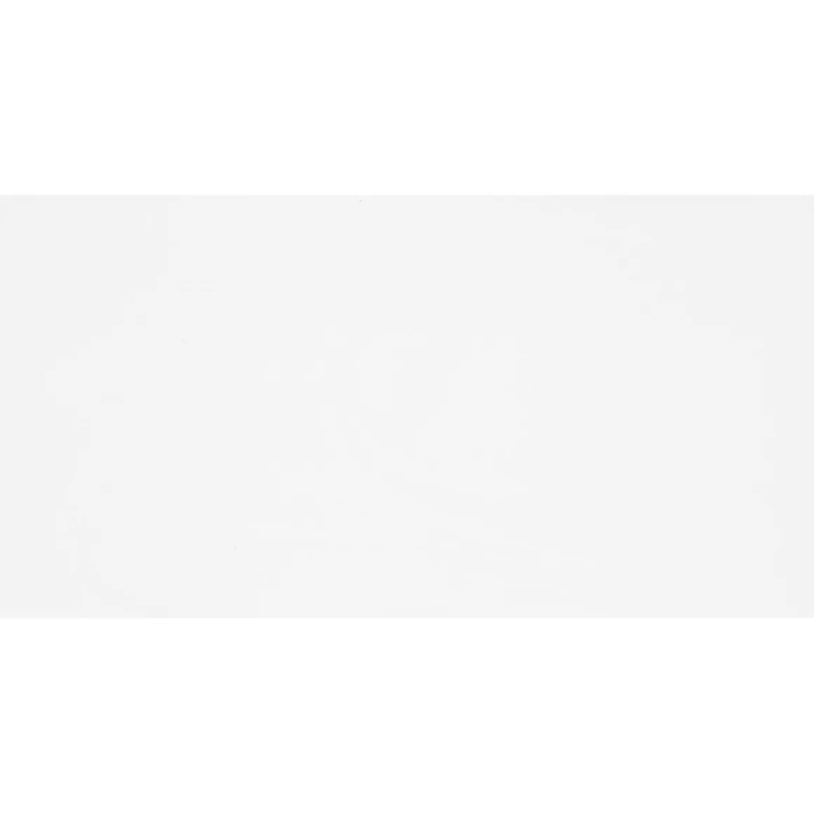 Wandfliese Bianca weiß matt 60 x 30 cm